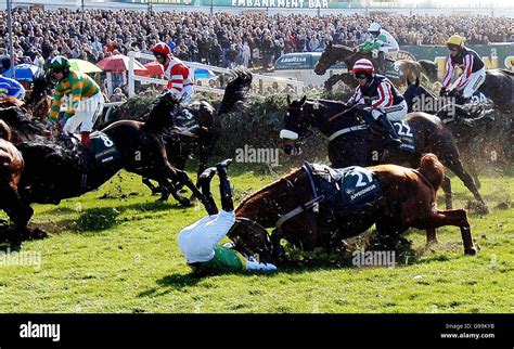 grand national fence by fence fallers.